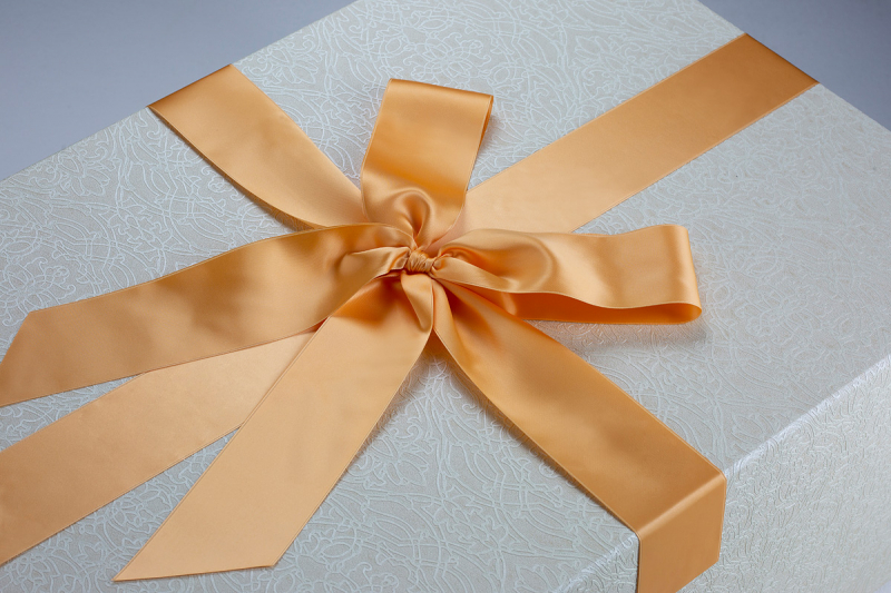 Das Design der Brautkleidbox Apricot Labyrinth ist sehr elegant.